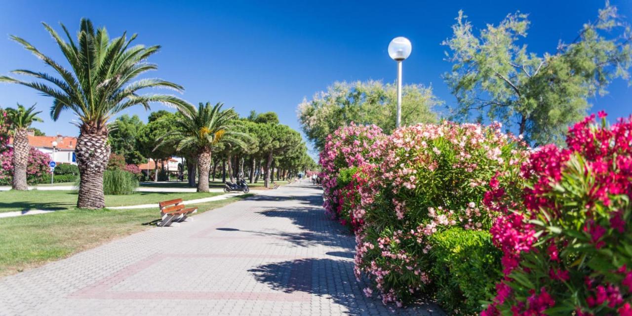 Les Pieds Dans Le Sable Apartment Argeles-sur-Mer Bagian luar foto
